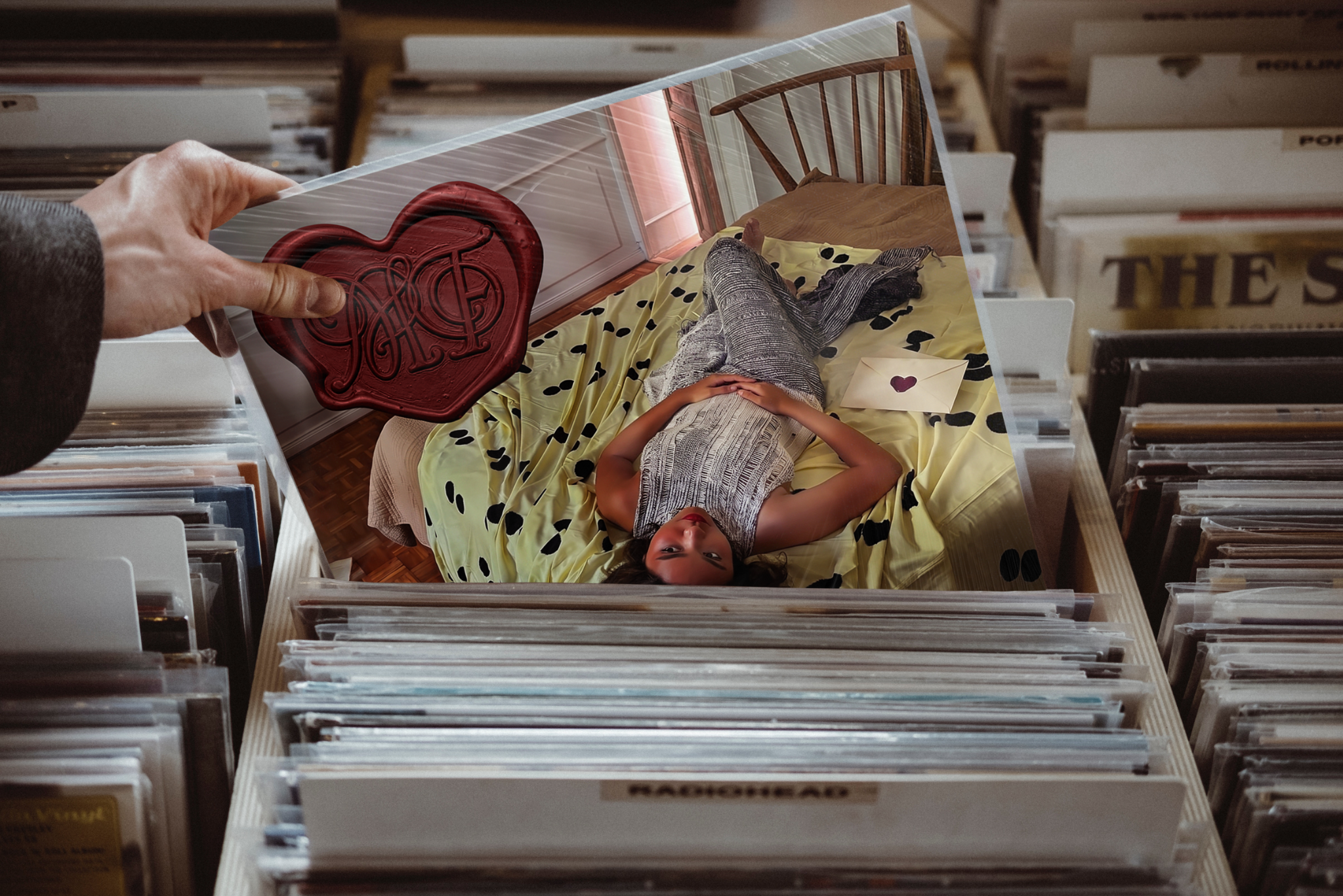 Debut vinyl sleeve in record store